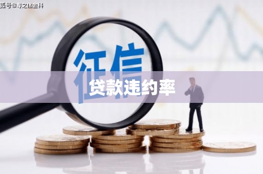 明港贷款违约率