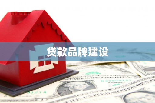 明港贷款品牌建设