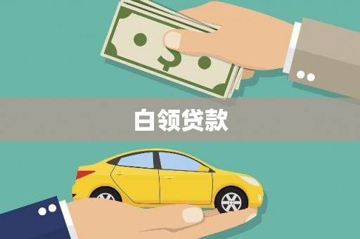 明港白领贷款