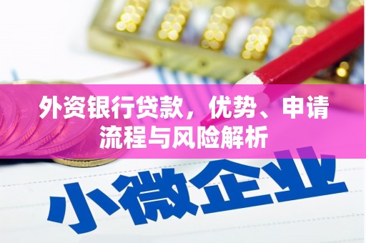 明港外资银行贷款，优势、申请流程与风险解析