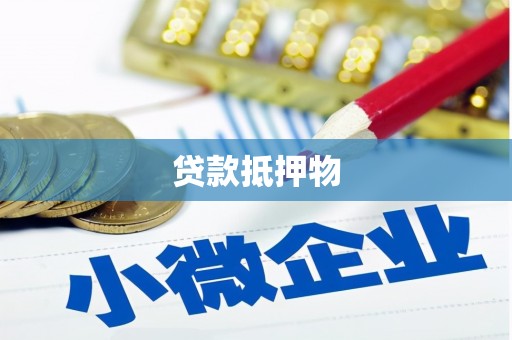 明港贷款抵押物