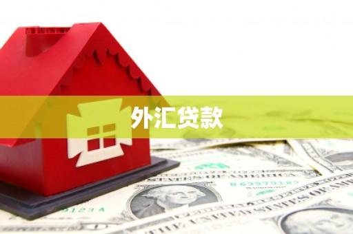 明港外汇贷款
