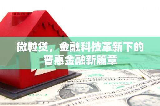 明港微粒贷，金融科技革新下的普惠金融新篇章
