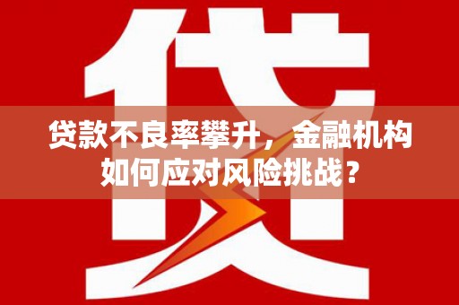明港贷款不良率攀升，金融机构如何应对风险挑战？