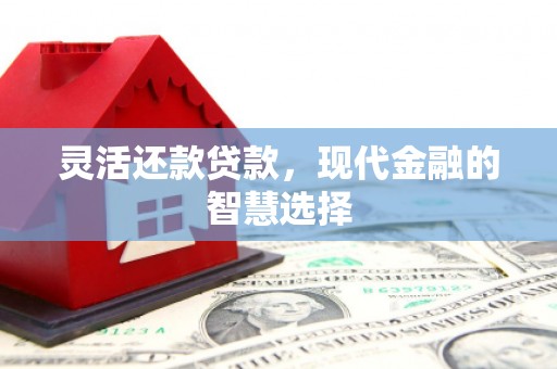 明港灵活还款贷款，现代金融的智慧选择