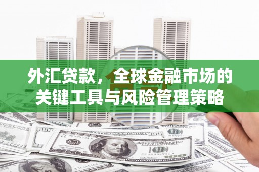 明港外汇贷款，全球金融市场的关键工具与风险管理策略