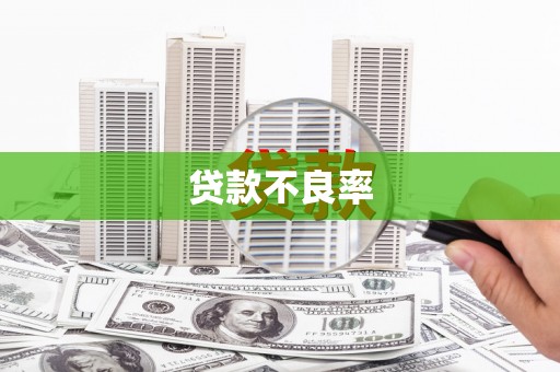 明港贷款不良率