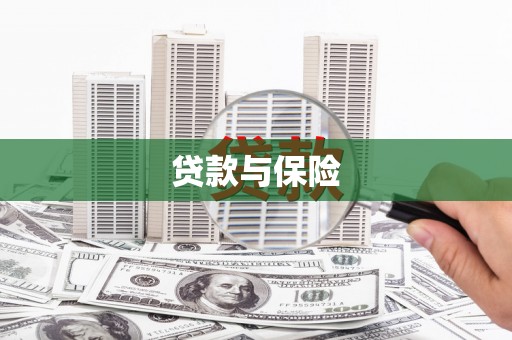 明港贷款与保险