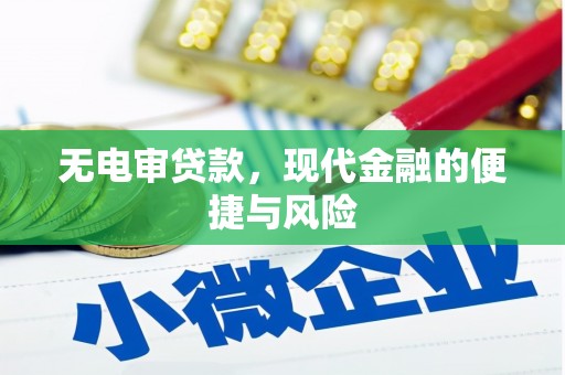 明港无电审贷款，现代金融的便捷与风险