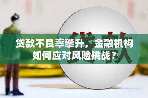 明港贷款不良率攀升，金融机构如何应对风险挑战？