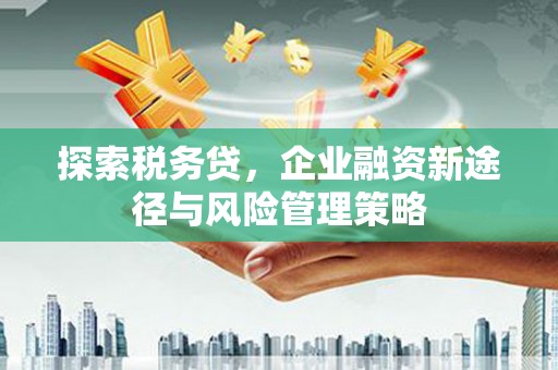 明港探索税务贷，企业融资新途径与风险管理策略