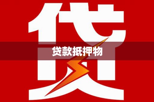 明港贷款抵押物