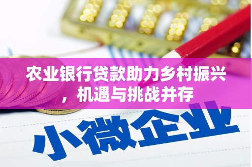 明港农业银行贷款助力乡村振兴，机遇与挑战并存
