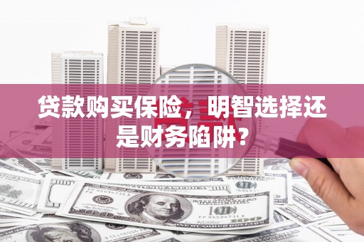 明港贷款购买保险，明智选择还是财务陷阱？