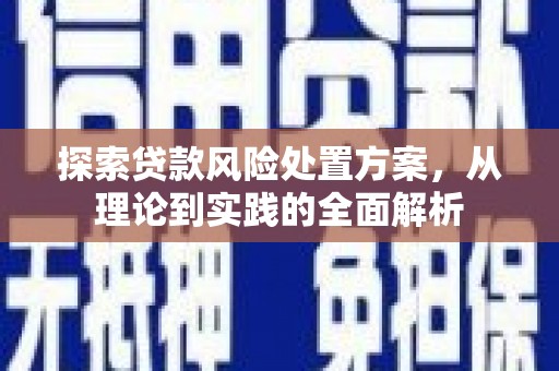 明港探索贷款风险处置方案，从理论到实践的全面解析