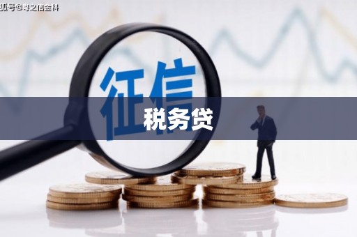 明港税务贷