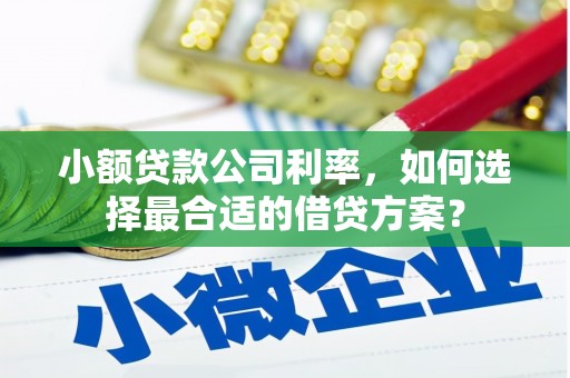 明港小额贷款公司利率，如何选择最合适的借贷方案？