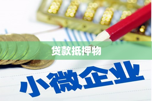 明港贷款抵押物