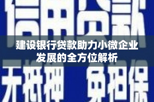 明港建设银行贷款助力小微企业发展的全方位解析