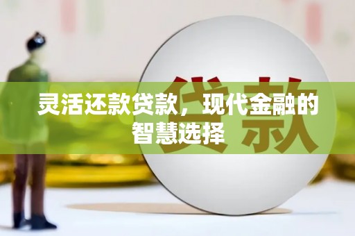 明港灵活还款贷款，现代金融的智慧选择