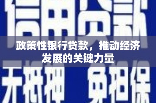 明港政策性银行贷款，推动经济发展的关键力量