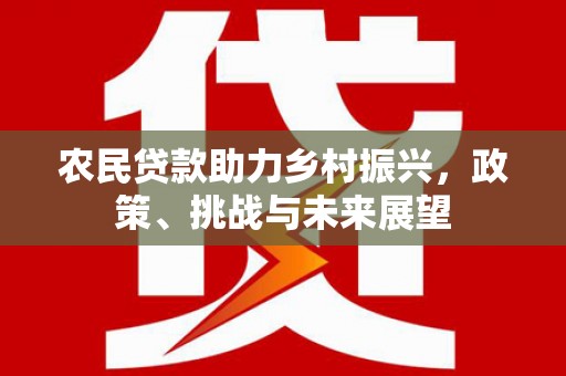 明港农民贷款助力乡村振兴，政策、挑战与未来展望