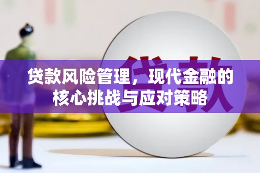明港贷款风险管理，现代金融的核心挑战与应对策略