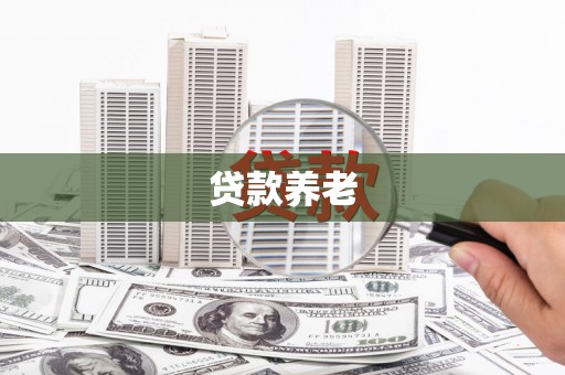 明港贷款养老