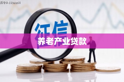明港养老产业贷款