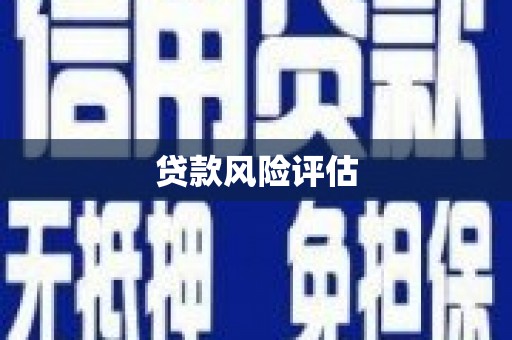 明港贷款风险评估