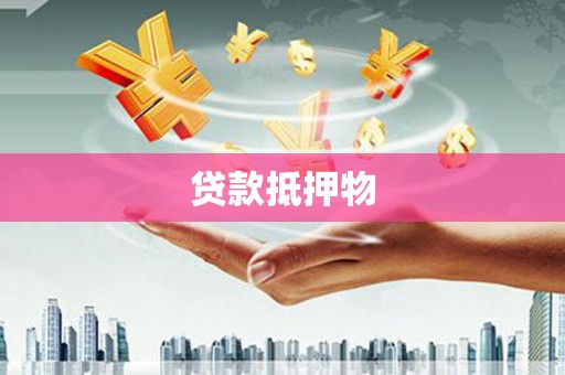 明港贷款抵押物