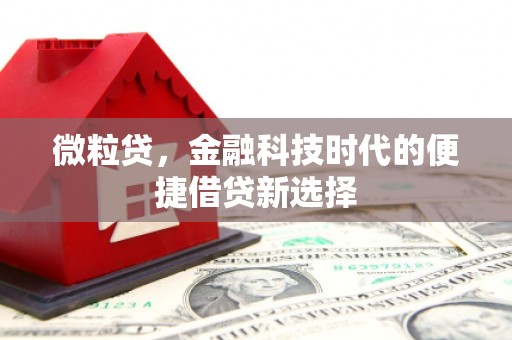 明港微粒贷，金融科技时代的便捷借贷新选择