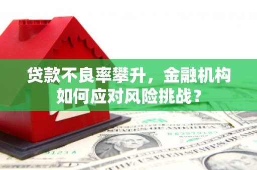 明港贷款不良率攀升，金融机构如何应对风险挑战？