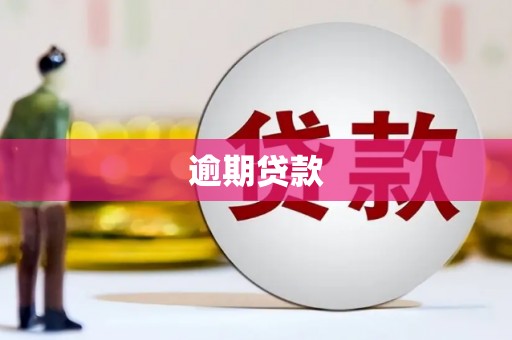 明港逾期贷款